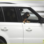 *EXCLUSIVE* Tom Kaulitz and girlfriend Ria leave dog in car as they catch a movie