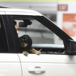 *EXCLUSIVE* Tom Kaulitz and girlfriend Ria leave dog in car as they catch a movie