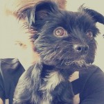 blog7