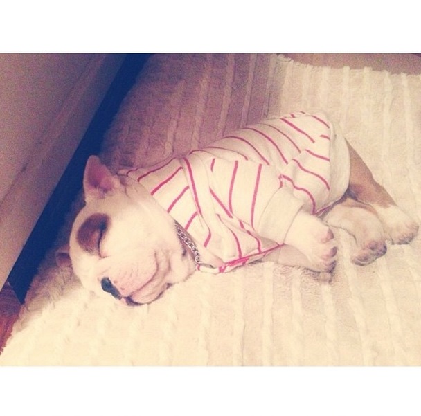 Instagram Bill Kaulitz: Garoto aniversariante! (07.12.14)
