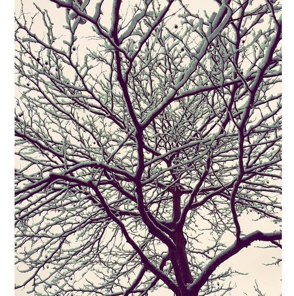 Instagram Georg Listing: Nova Foto (31.01.15)