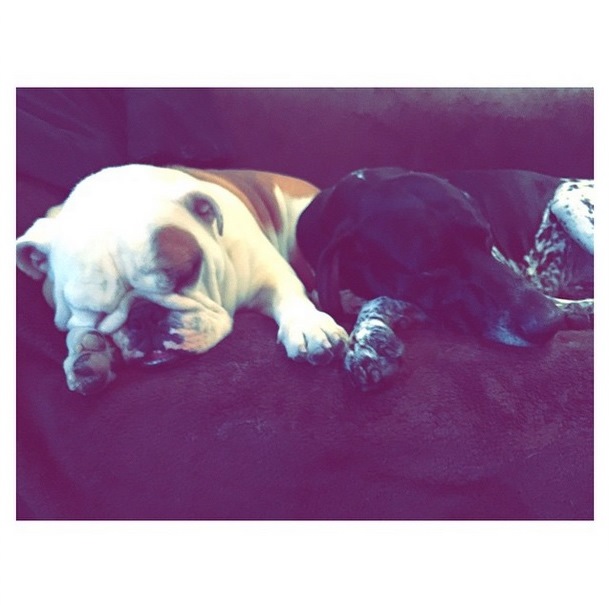 Instagram Bill Kaulitz: Sábados (31.01.15)
