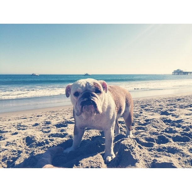 Instagram Bill Kaulitz: Garoto da praia (05.04.15)