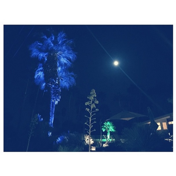 Instagram Bill Kaulitz: Olá Palm Springs! (10.04.15)