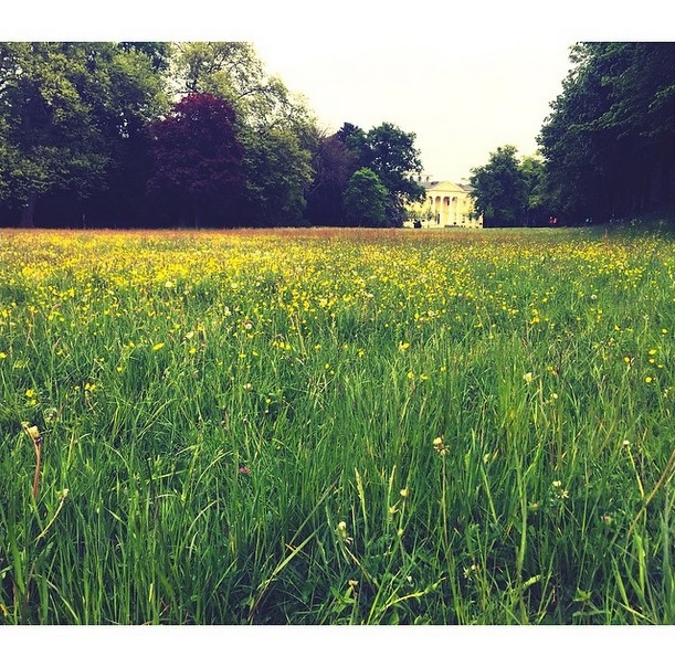 Instagram Georg Listing: Natureza (17.05.15)
