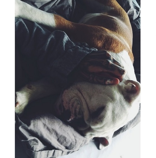 Instagram Bill Kaulitz: Zzzzz….. (09.05.15)