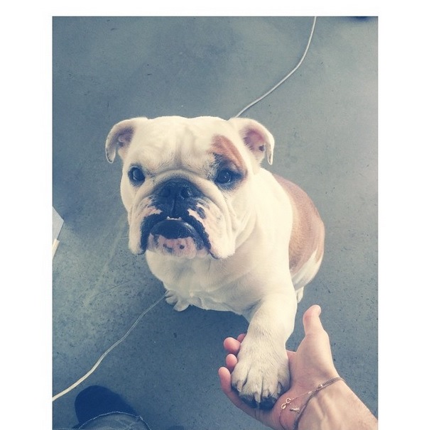 Instagram Bill Kaulitz: Por favor….?! (07.06.15)