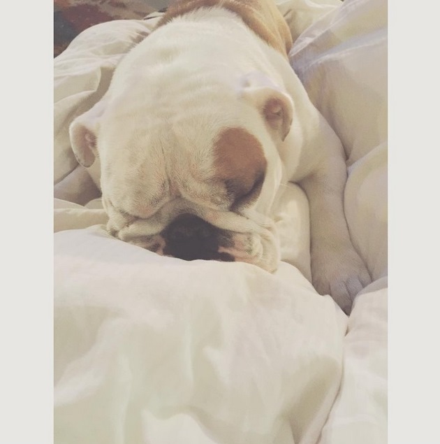 Instagram Bill Kaulitz: Zzzzzz (03.07.15)