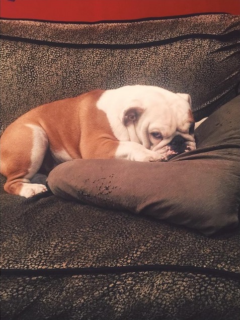 Instagram Bill Kaulitz: Vida de turnê (10.08.15)