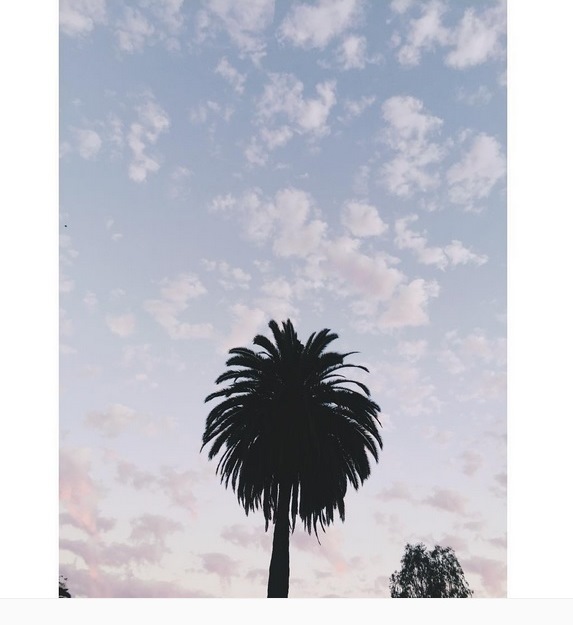 Instagram Bill Kaulitz: Lar (09.09.15)