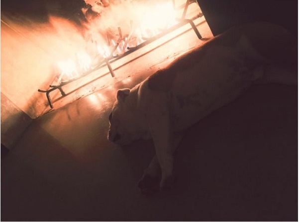 Instagram Bill Kaulitz: Experimentando conforto (30.11.15)
