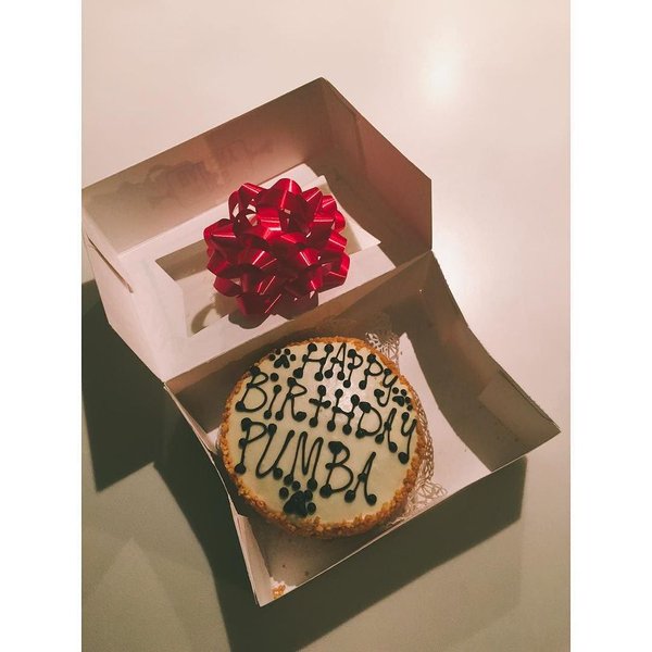 Instagram Bill Kaulitz: Bolo de aniversário do Pumbi (08.12.15)