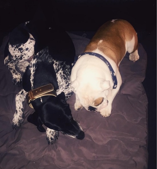 Instagram Bill Kaulitz: Longas Noites (13.01.15)