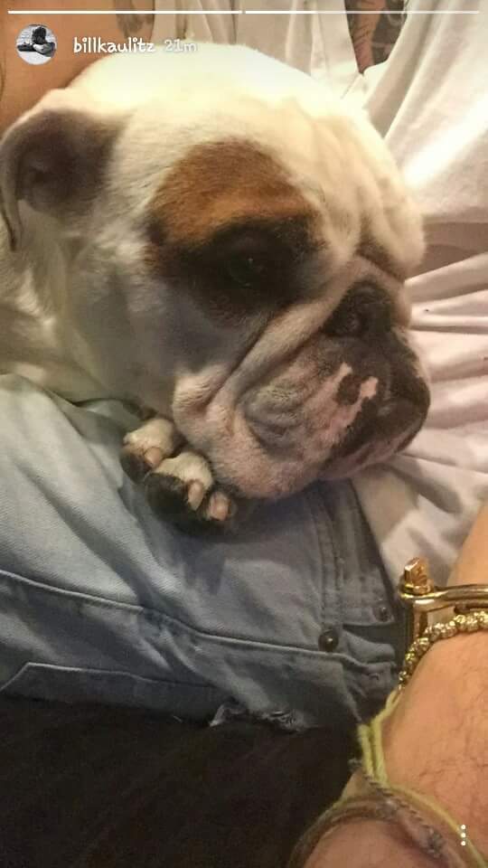 Instagram Stories: Bill Kaulitz posta novas fotos e vídeos!