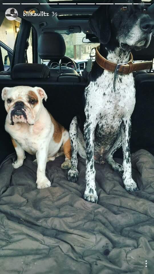 Instagram Stories: Bill posta fotos de sua viagem de aniversário!