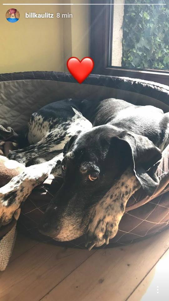 Instagram Stories: Bill Kaulitz posta novas fotos! (14.06.17)